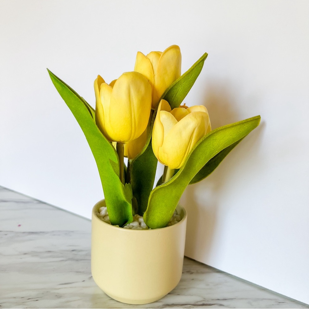 Yellow Tulip Potted Bouquet